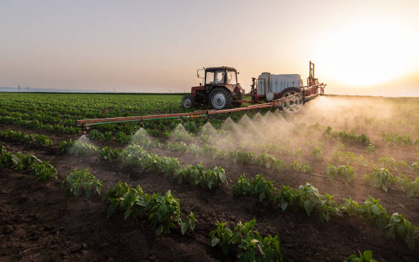 Best Best Pest Control Near Me  in Fullerton, NE