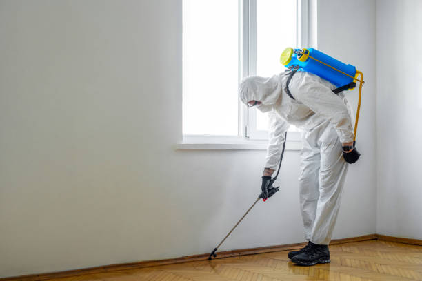 Best Commercial Pest Control Services  in Fullerton, NE