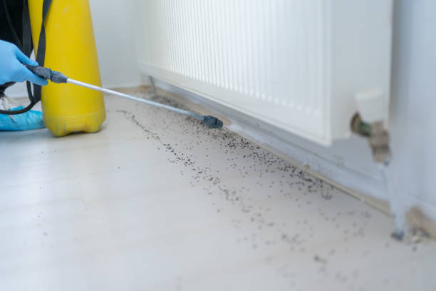 Best Residential Pest Control  in Fullerton, NE