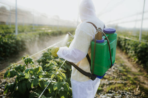 Best Best Pest Control Companies  in Fullerton, NE